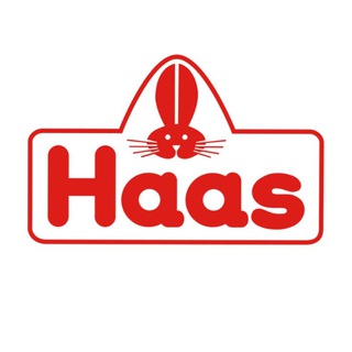 HAAS_RUSSIA