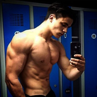 TIMON_FIT 