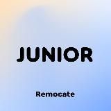 REMOCATE JUNIOR: СТАЖИРОВКИ И ВАКАНСИИ ДЛЯ МОЛОДЫХ СПЕЦИАЛИСТОВ