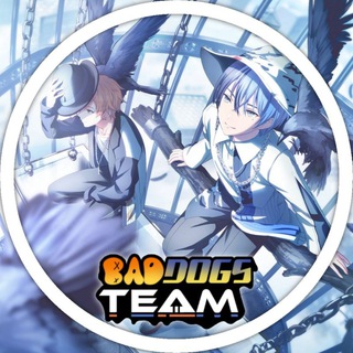 BAD DOGS TEAM