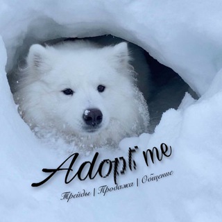 ROBLOX | ADOPT ME