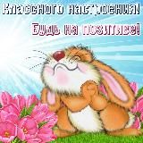 ОТКРЫТКИ ДЛЯ ДУШИ