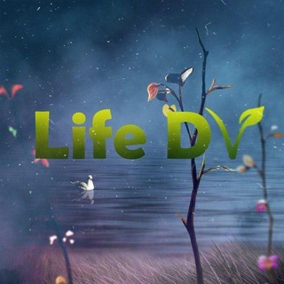 ЛАЙФДВ  LIFEDV