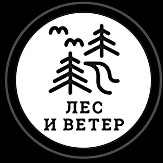 ЛЕС И ВЕТЕР  