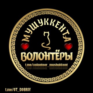 ВОЛОНТЕРЫ «МУШУККЕНТ»