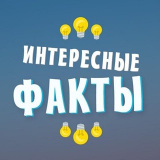  ИНТЕРЕСНЫЕ ФАКТЫ 