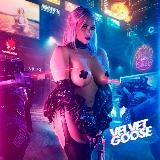 VELVET_GOOSE