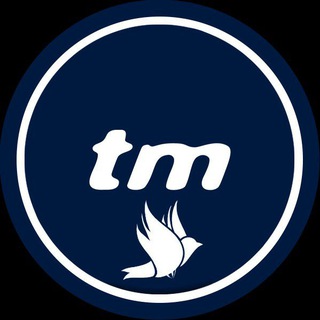 TRANSFERMARKT OFFICIAL