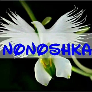@NO_NOSHKA