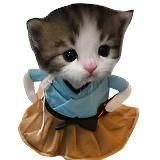 КОТЯЧЬИ ФАЙЛЫ