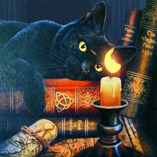 ТЕ САМЫЕ МЕМЫ С КОТАМИ КОТОМАГИЯ