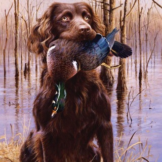 МУЖСКОЙ ОТДЫХ * ОХОТА * РЫБАЛКА