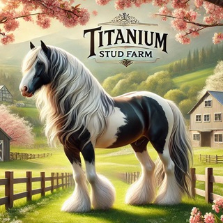 LIBONTOVA  TITANIUM STUD FARM