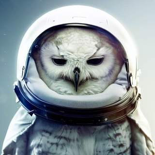 СОВА КОСМИЧЕСКАЯ