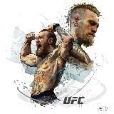 MIR UFC