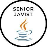 SENIOR JAVA DEVELOPER