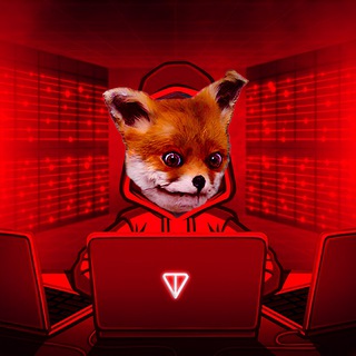 TONCOIN FUTURE