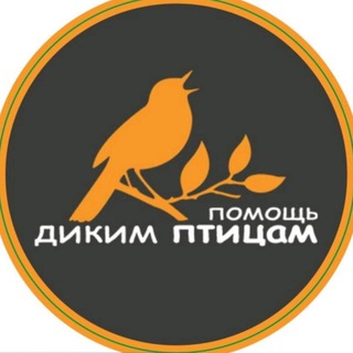 BIRDHELP
