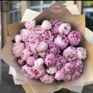 СТУДИЯ ФЛОРИСТИКИ FLORA 