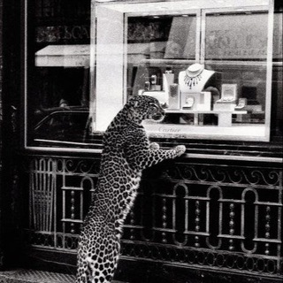 КОПИИ БРЕНДОВ | AABUYERS.CHINA