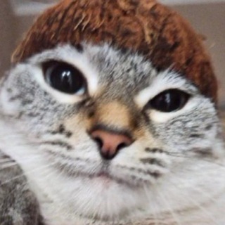 КОЧА ɾЕЙ
