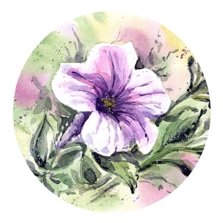 АННА ПЕТУНОВА_STITCH GALLERY