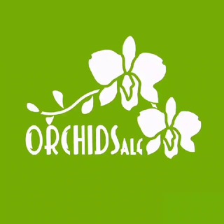 ORCHIDSALE - ОРХИДЕИ В ТАШКЕНТЕ