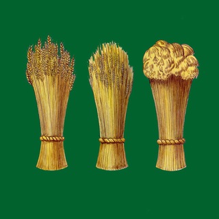 АДМИНИСТРАЦИЯ ПЕНЗЫ