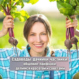 САДОВОДЫ, ДАЧНИКИ, ЧАСТНИКИ | ЧАТ