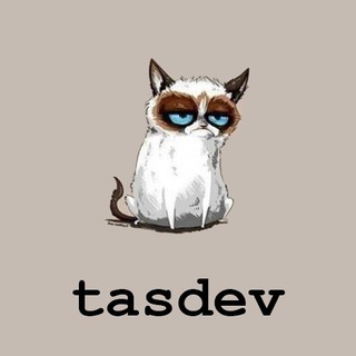 TASHKENT DEVELOPERS