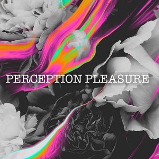PERCEPTION PLEASURE