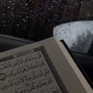 QURAN RECORDS