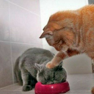 ЖКХ - ХВАТИТ