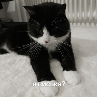 МАЙЛИТЛГИДРАПОНИ