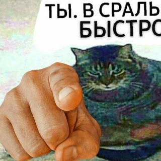СЕГОДНЯ Я СПИЗДИЛА МЕМ