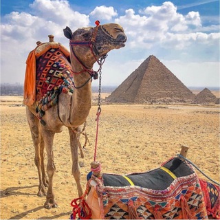 مصر
