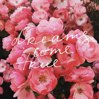 INSPIRE YOUR INSTAGRAM