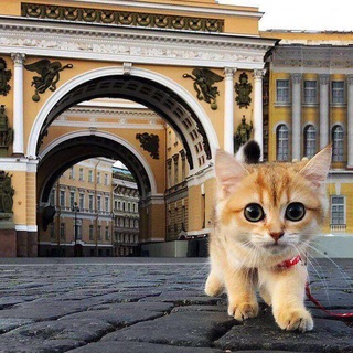  ФОНТАНКА СПБ