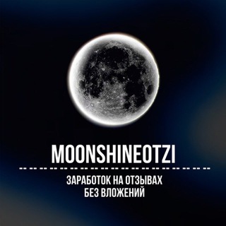 MOONSHINE ЗАРАБОТОК НА ОТЗЫВАХ