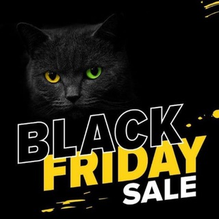 ФИНАНСОВАЯ ЭГОИСТКА | ФЭ