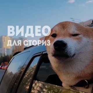 MORESTORI - ВИДЕО, ФОНЫ, СТИКЕРЫ ДЛЯ СТОРИЗ - БЕСПЛАТНО