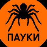 ПАУКИ