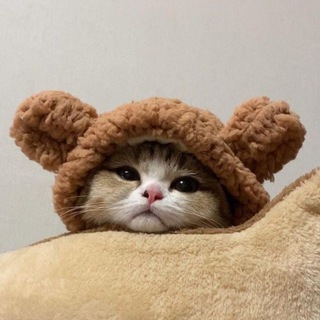 МИЛЫЙ ГОРОСКОП