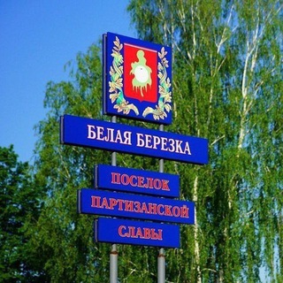 БЕЛАЯ БЕРЕЗКА️️
