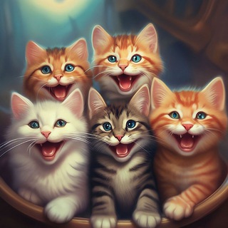 КОТЕНЬКА 
