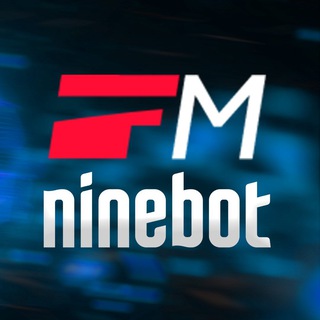 NINEBOT ES/E/MAX/F
