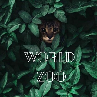 WORLD ZOO 