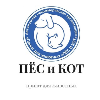 ПРИЮТ ПЕС И КОТ ЮЖНО-САХАЛИНСК