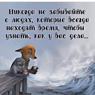 MOTIVATION__TSITATY