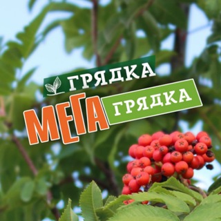 СЦ